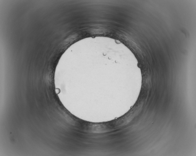 X0000111470277200908241348