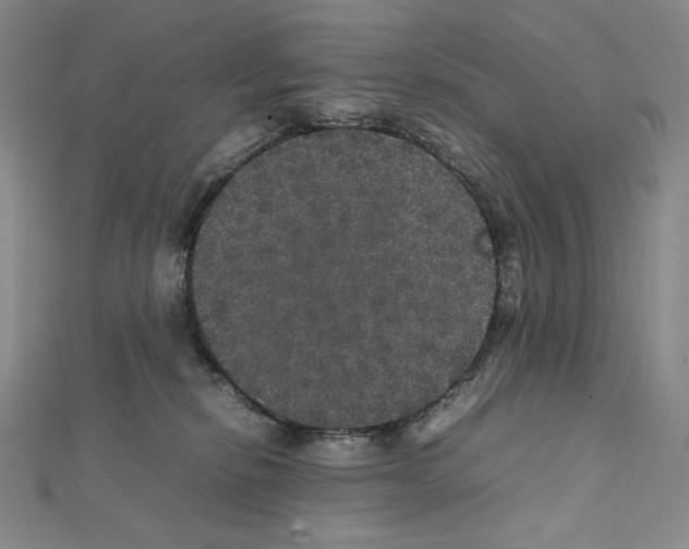 X0000111470278200908241348