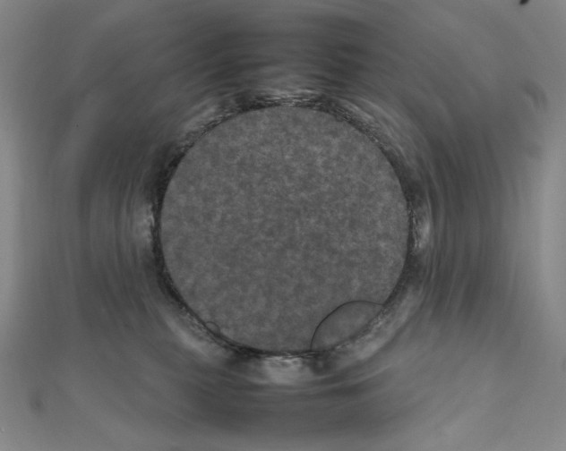 X0000111470279200908241348