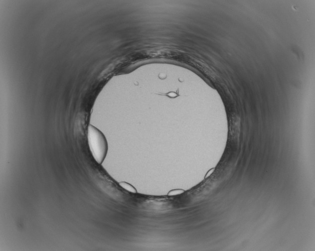 X0000111470280200908241348