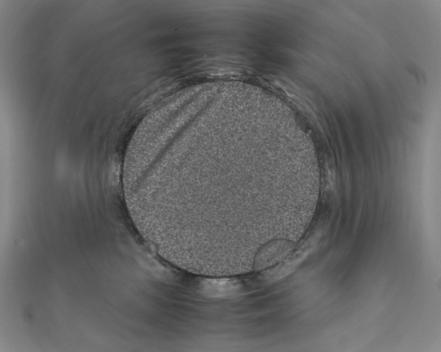 X0000111470281200908241348