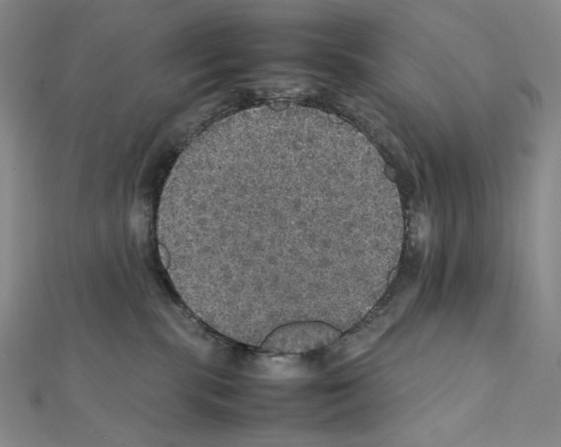 X0000111470283200908241348