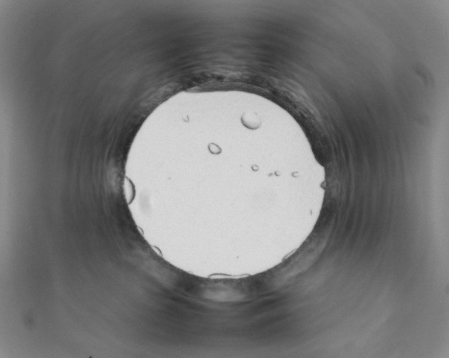 X0000111470285200908241348