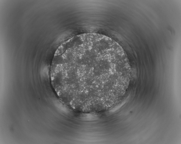 X0000111470286200908241348