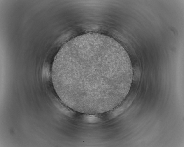 X0000111470287200908241348