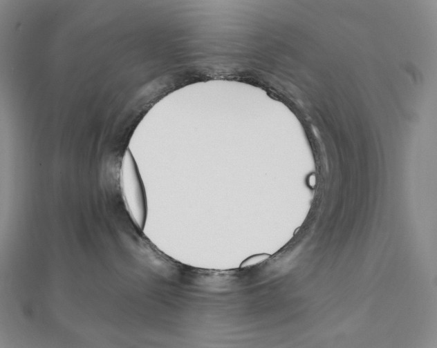 X0000111470288200908241348