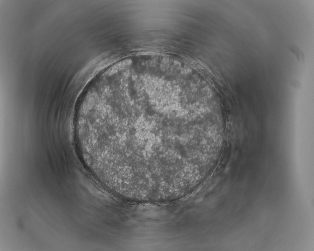 X0000111470290200908241348