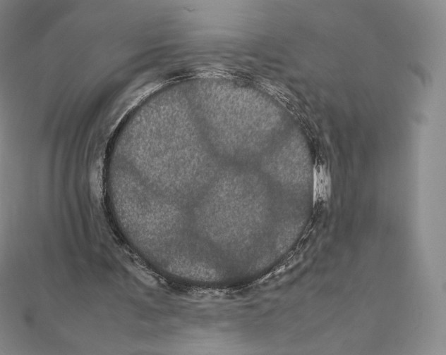 X0000111470291200908241348