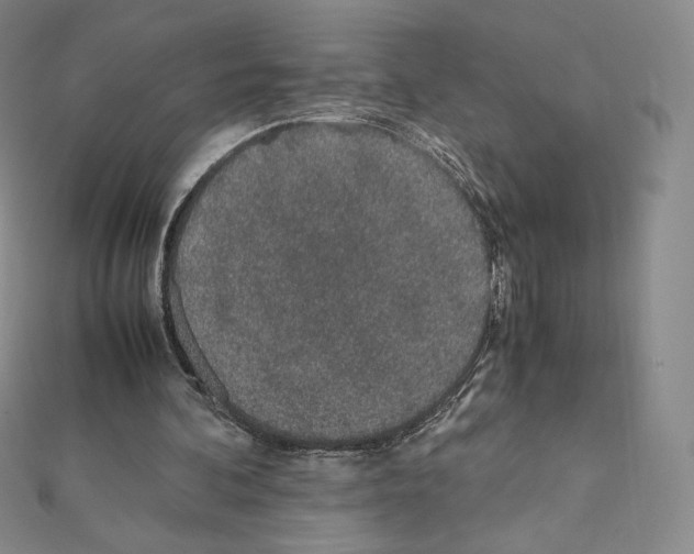 X0000111470292200908241348