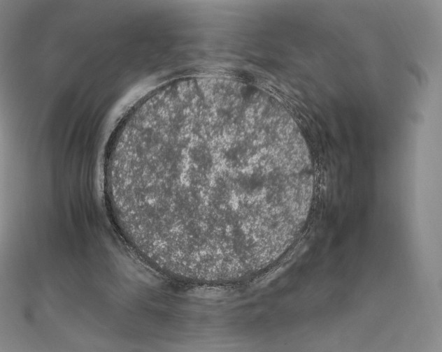 X0000111470294200908241348