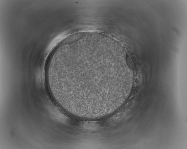 X0000111470296200908241348