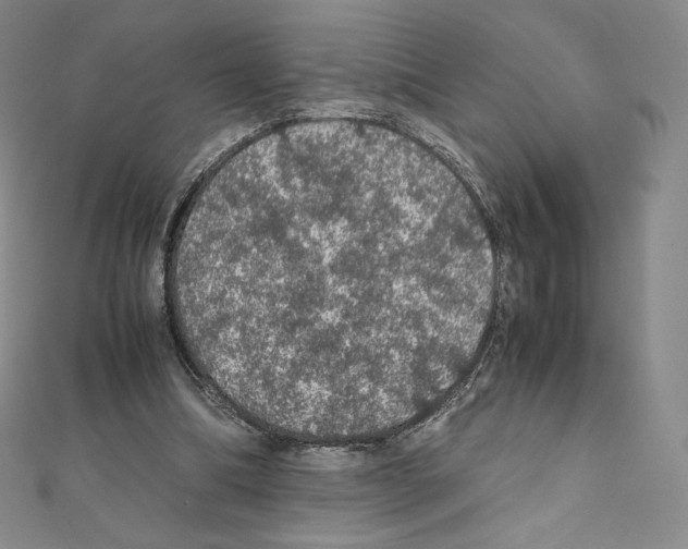 X0000111470298200908241348