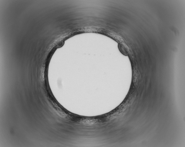 X0000111470299200908241348