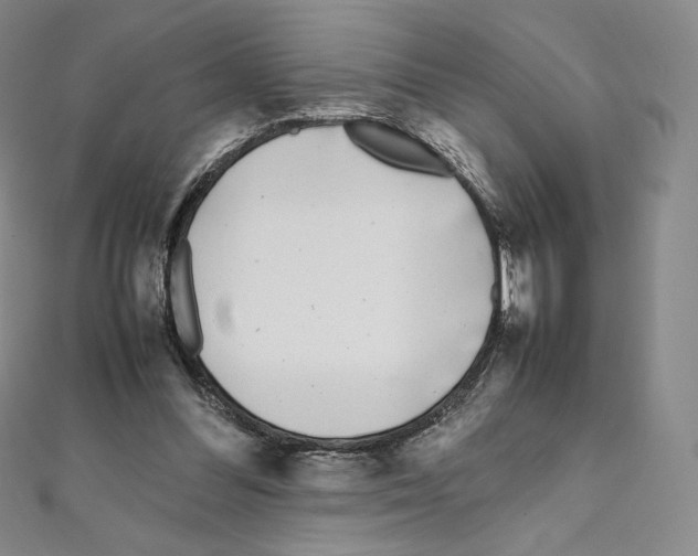 X0000111470300200908241348