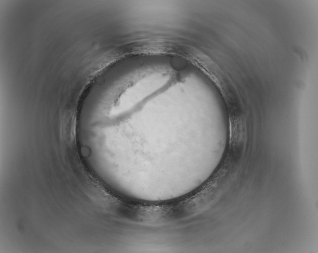 X0000111470301200908241348