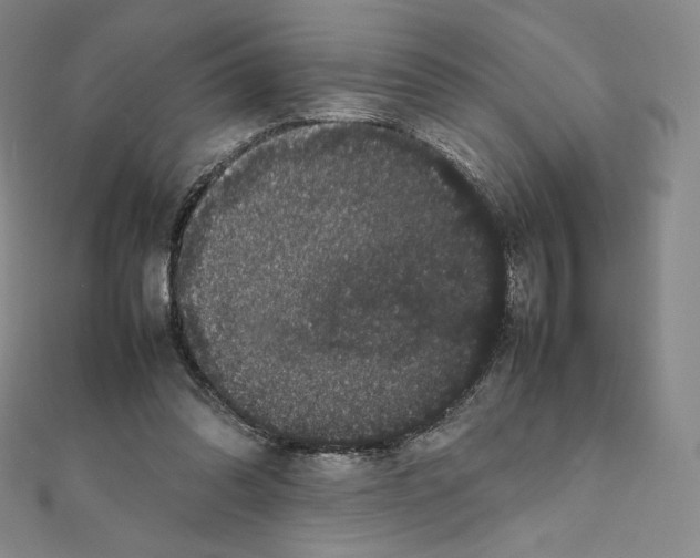 X0000111470302200908241348