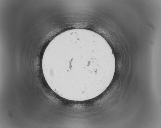 X0000111470303200908241348