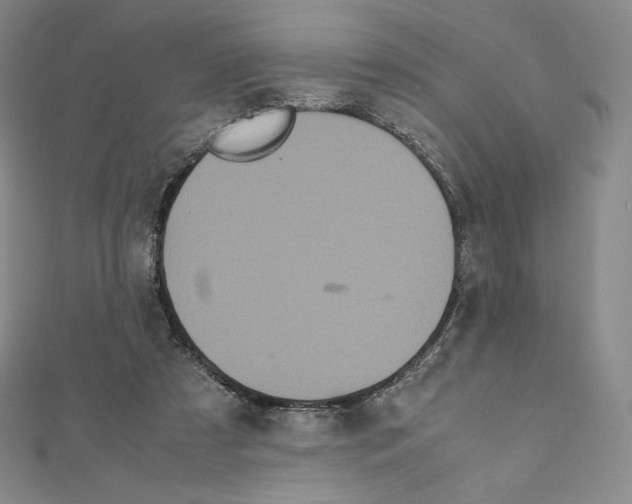 X0000111470305200908241348