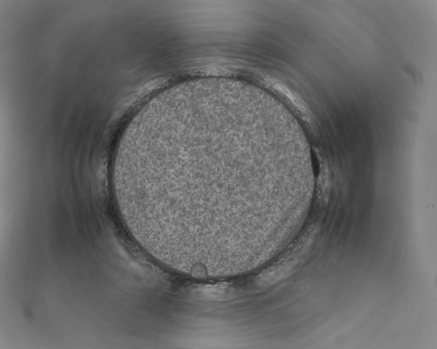 X0000111470306200908241347