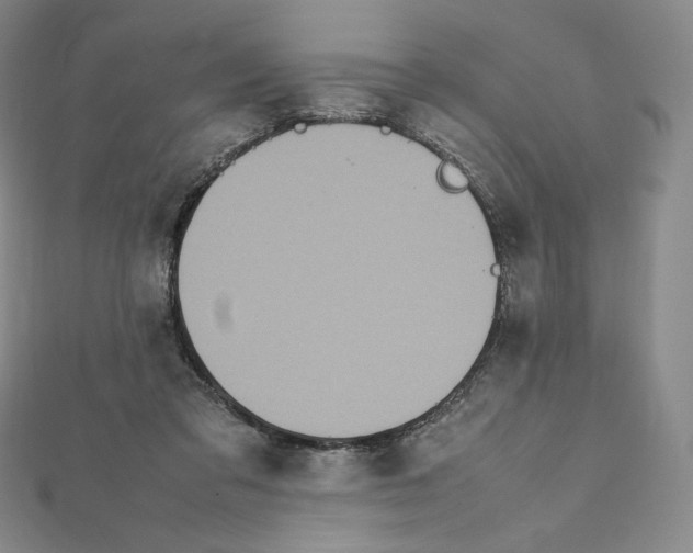 X0000111470309200908241347