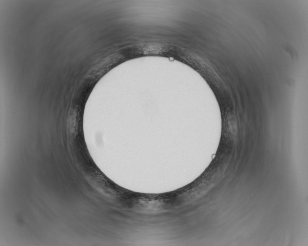 X0000111470311200908241347