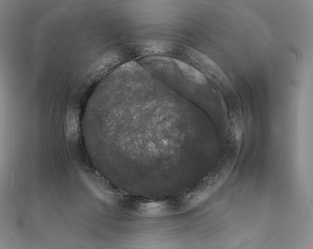 X0000111470312200908241347