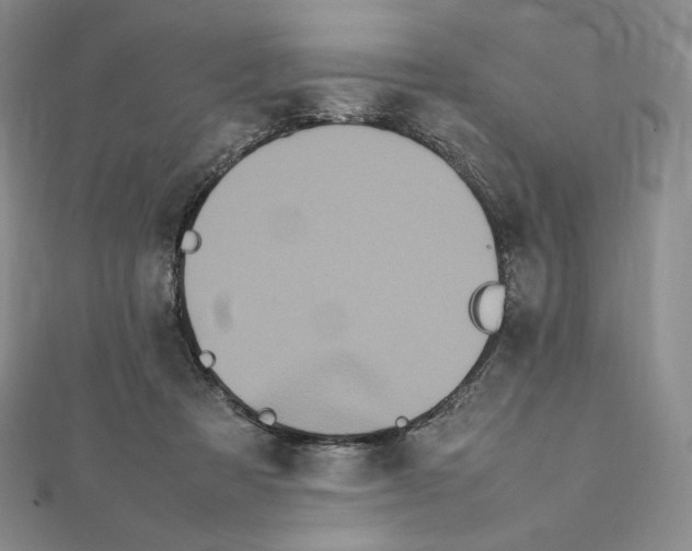 X0000111470313200908241347