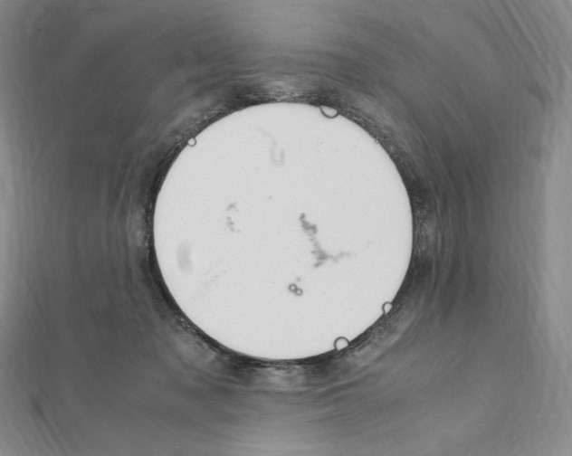 X0000111470317200908241347