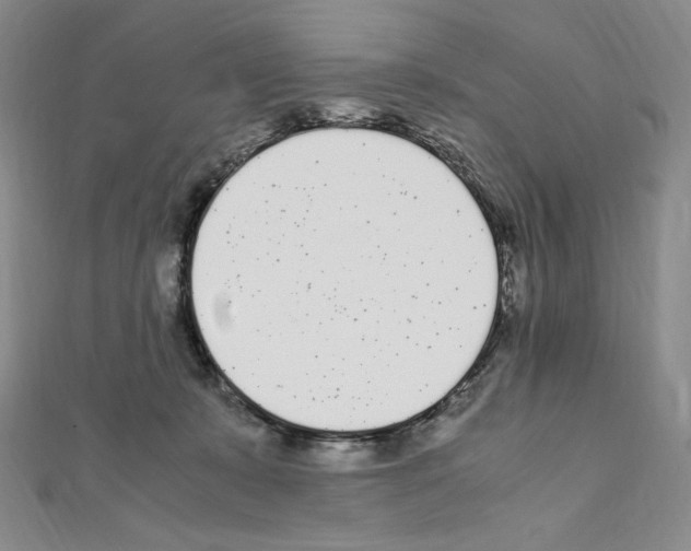 X0000111470319200908241347