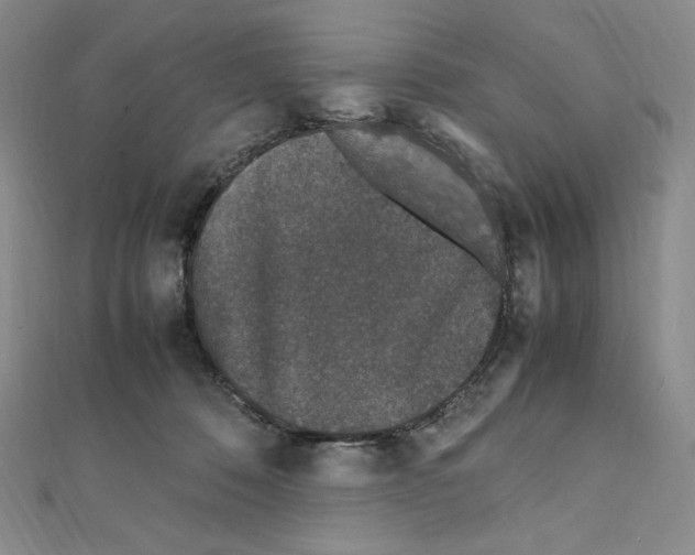 X0000111470320200908241347