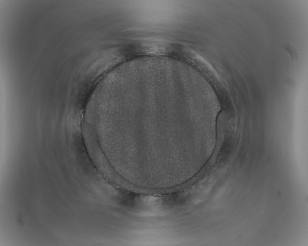 X0000111470325200908241347