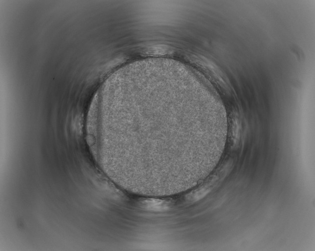 X0000111470326200908241347