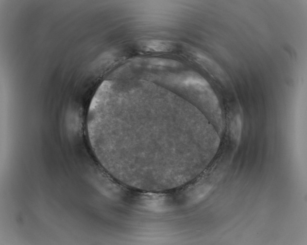 X0000111470328200908241347