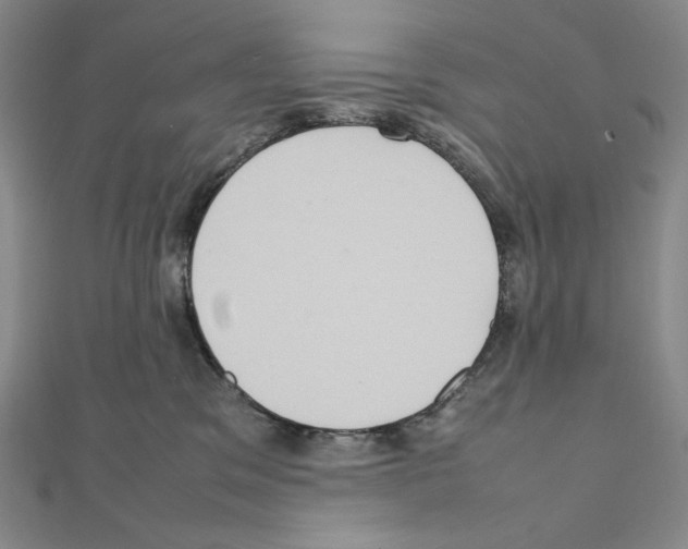 X0000111470329200908241347