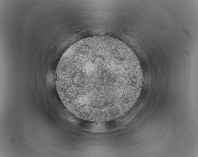 X0000111470335200908241347