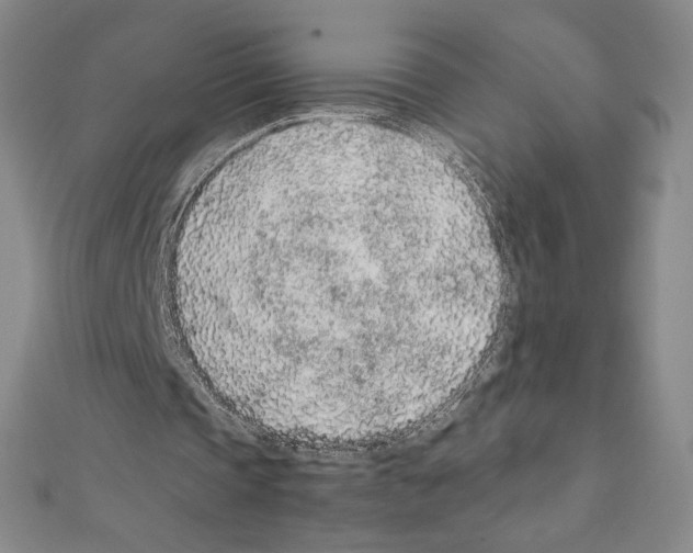 X0000111470337200908241346