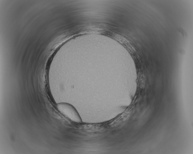 X0000111470338200908241346