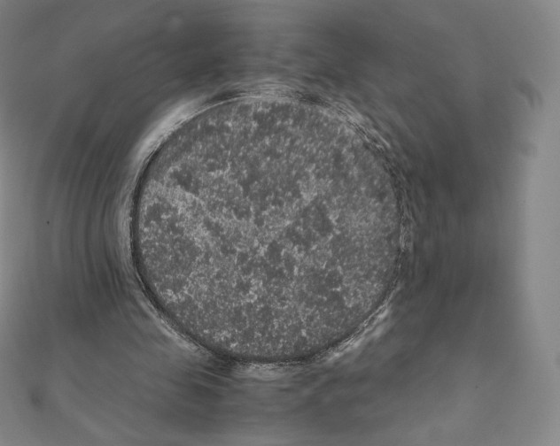 X0000111470341200908241346