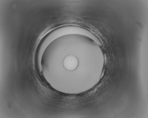 X0000111470344200908241346