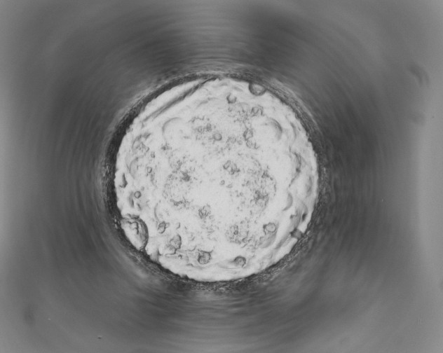 X0000111470346200908241346