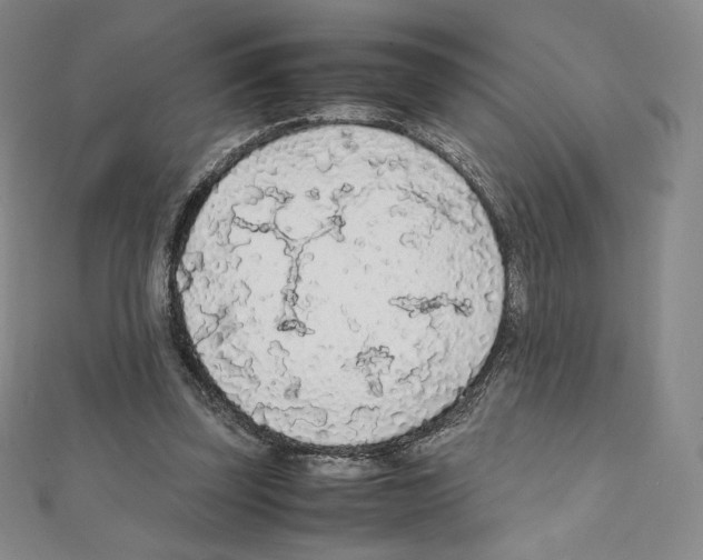 X0000111470347200908241346