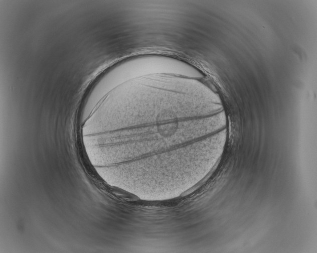 X0000111470348200908241346