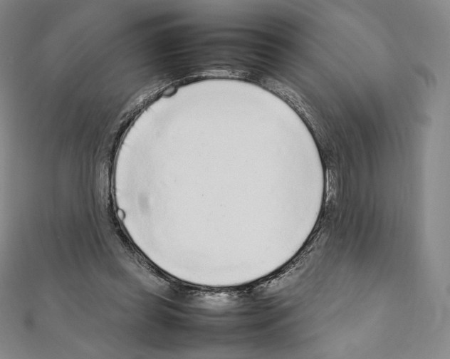 X0000111470349200908241346