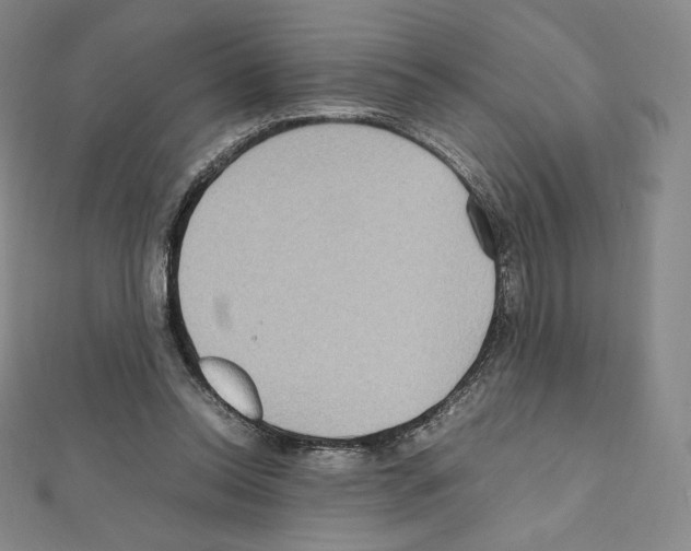 X0000111470350200908241346