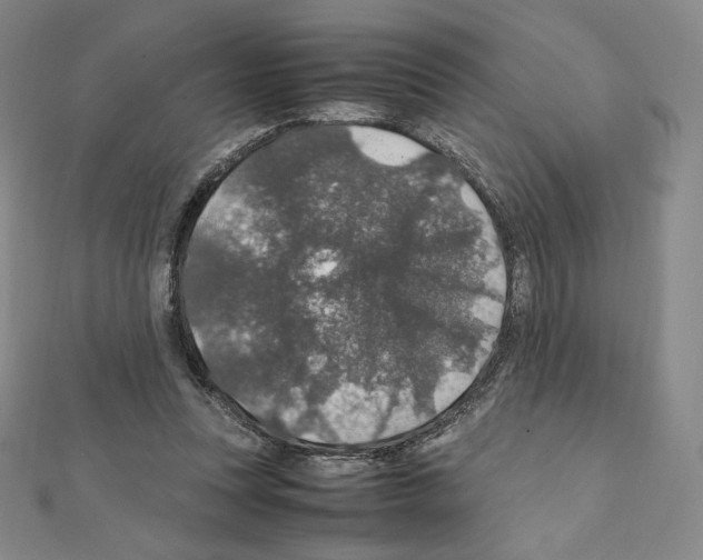 X0000111470351200908241347