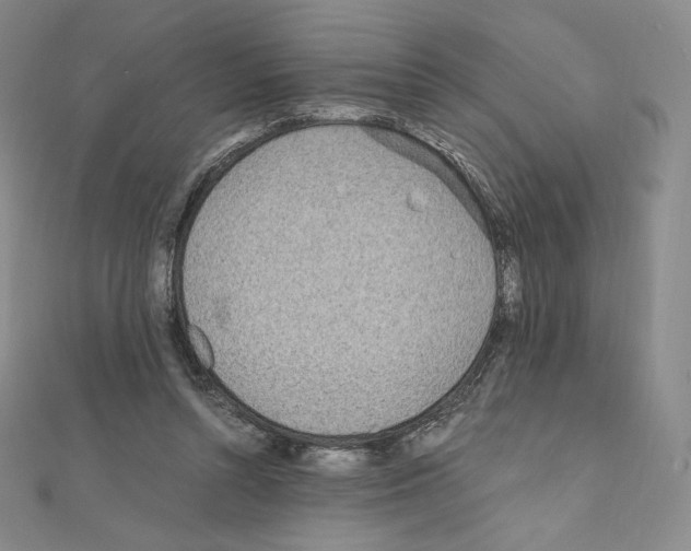 X0000111470352200908241347