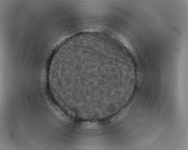 X0000111470354200908241347