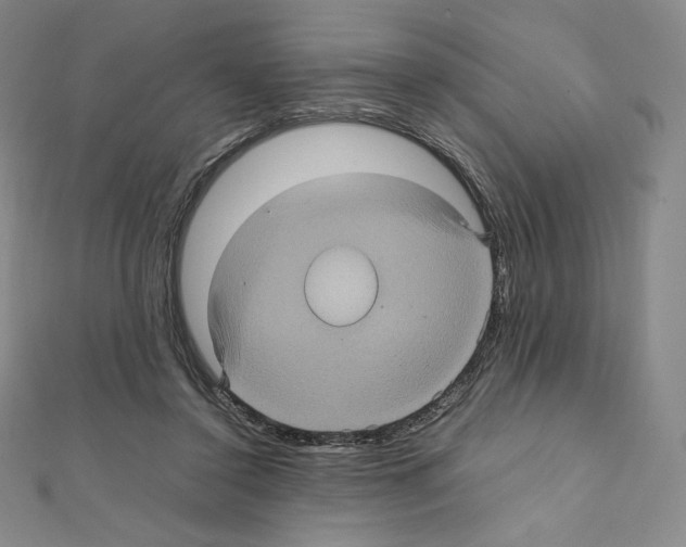 X0000111470356200908241347