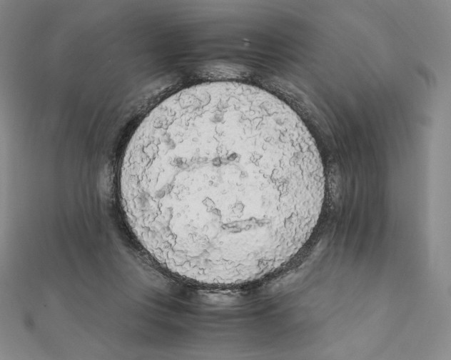 X0000111470359200908241347