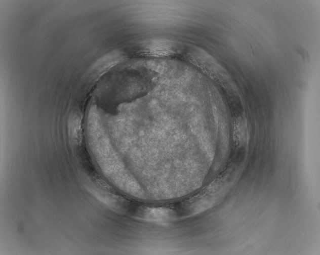 X0000111470360200908241347